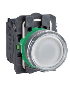 ILLUMINATED PUSHBUTTON