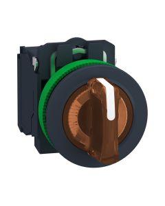 FLUSH OR. ILL SS 3 POS STAY PUT 1NO 1NC