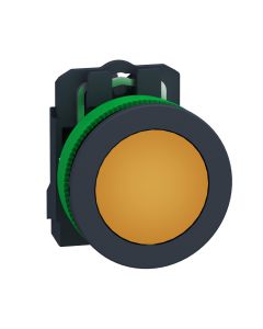 FLUSH complete Pilot light 110 120V Or.